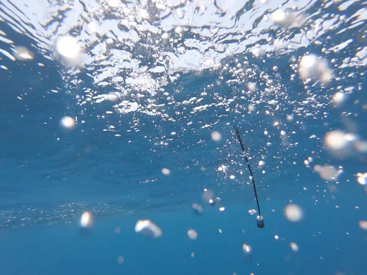 Onde sonore. Musica da mare